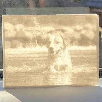 A lithophane of a dog splashing through water